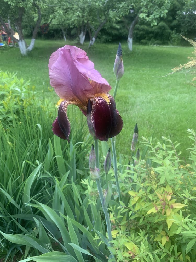 Photograph by Елена