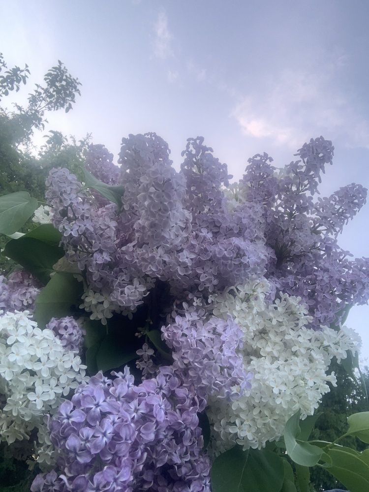 Photograph by Елена