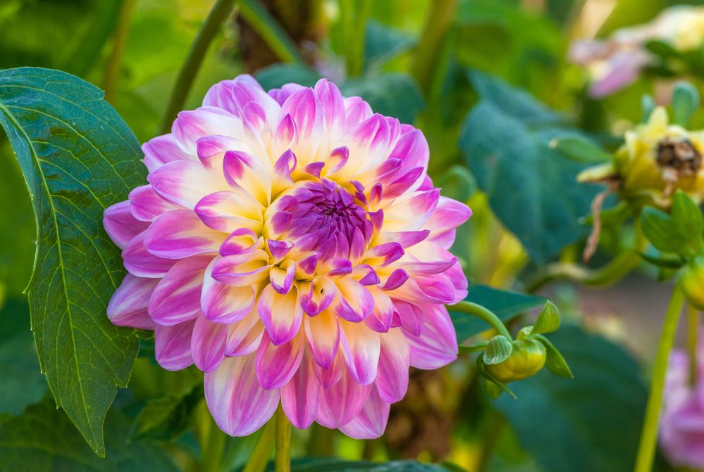 Photograph by Tatyana