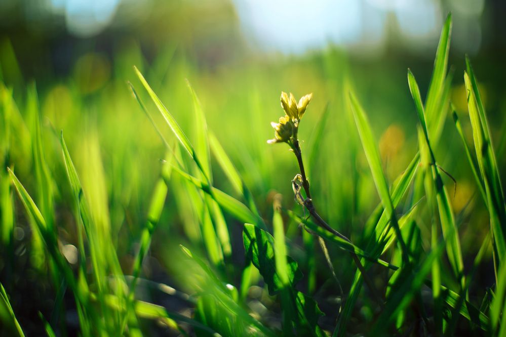 Photograph by Dmitry Grunin