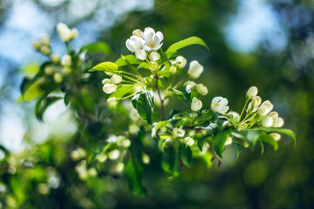 Photograph by Dmitry Grunin