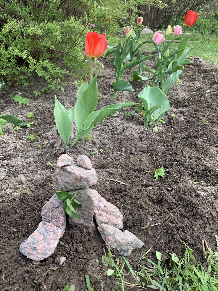 Photograph by Елена