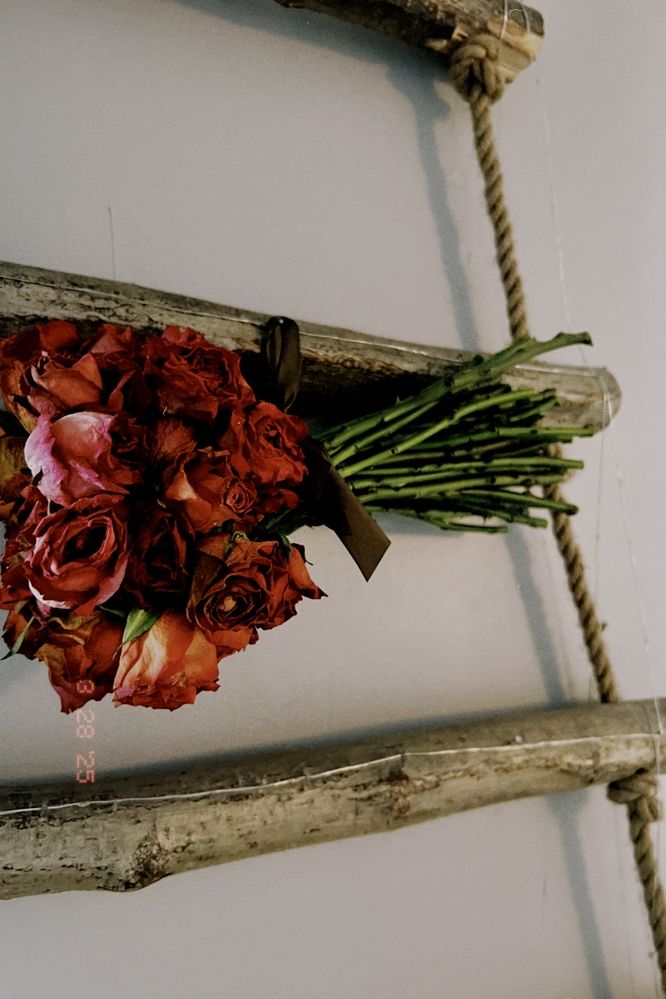 Photograph by Pavlova Maria