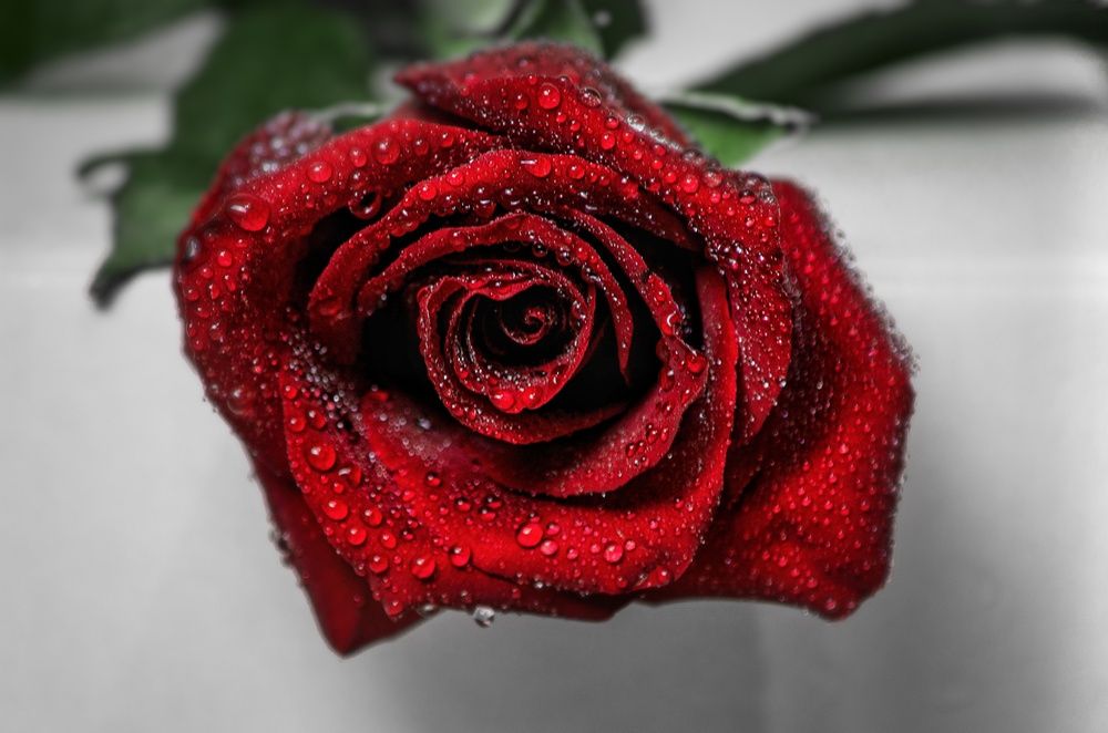 Photograph by Вероника Ливанова