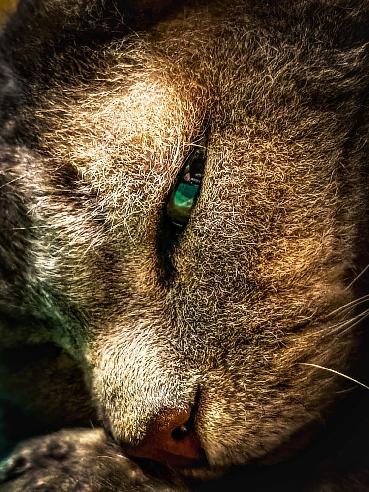 Photograph by Владимир Сушкин