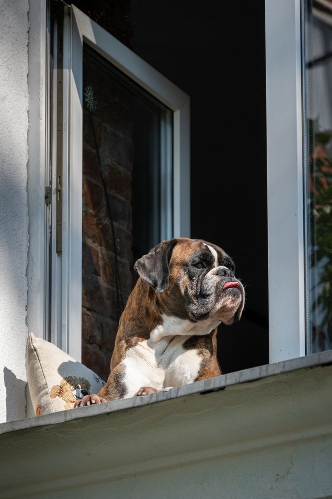 Photograph by Tatiana Shtun