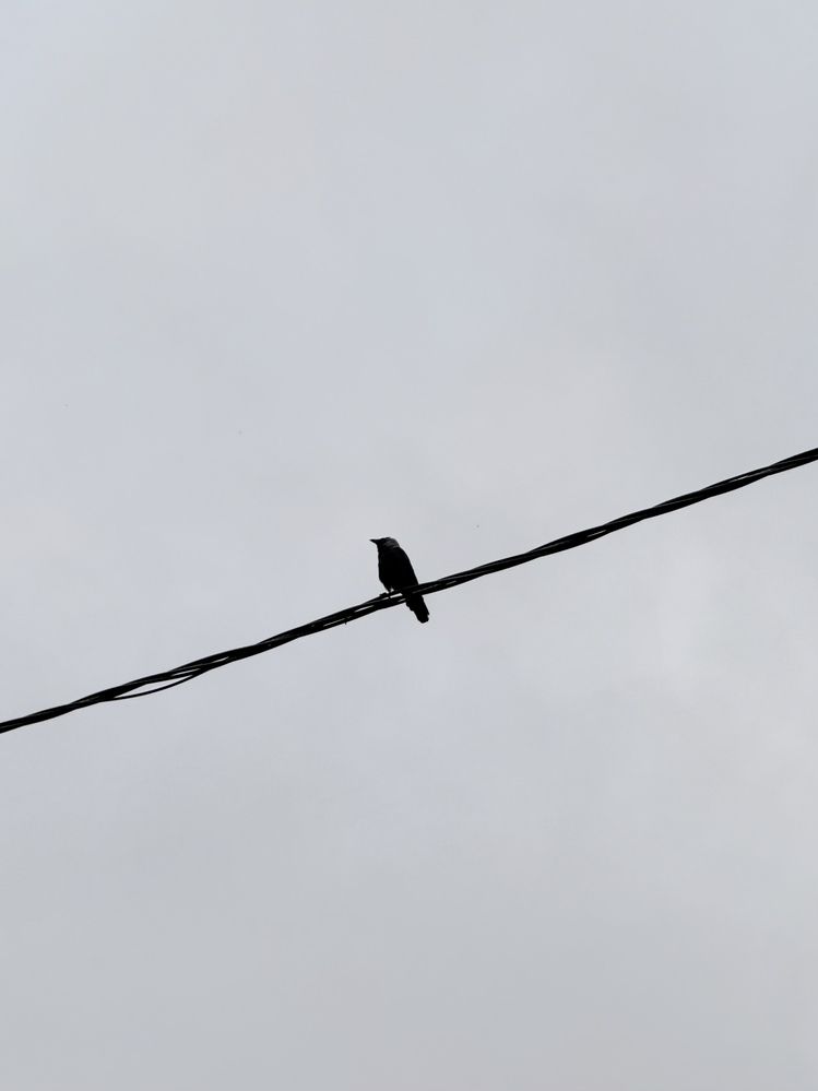 Photograph by Uladzimir Hvozd