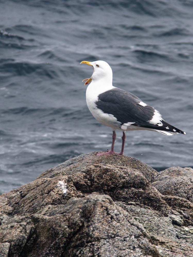 Photograph by Юлия Серазетдинова