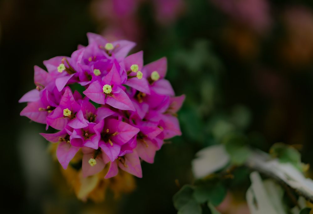 Photograph by Igor Shulkin