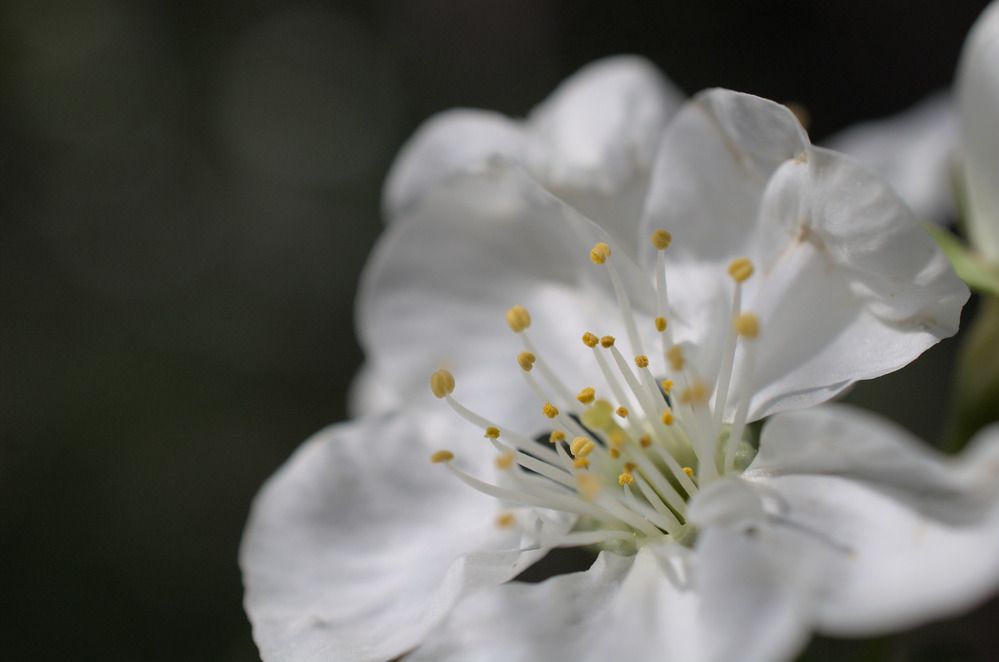 Photograph by Анна Курлова