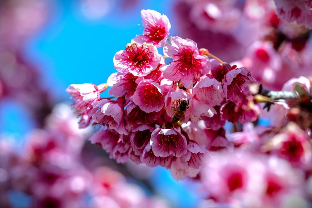 Photograph by Igor Shulkin