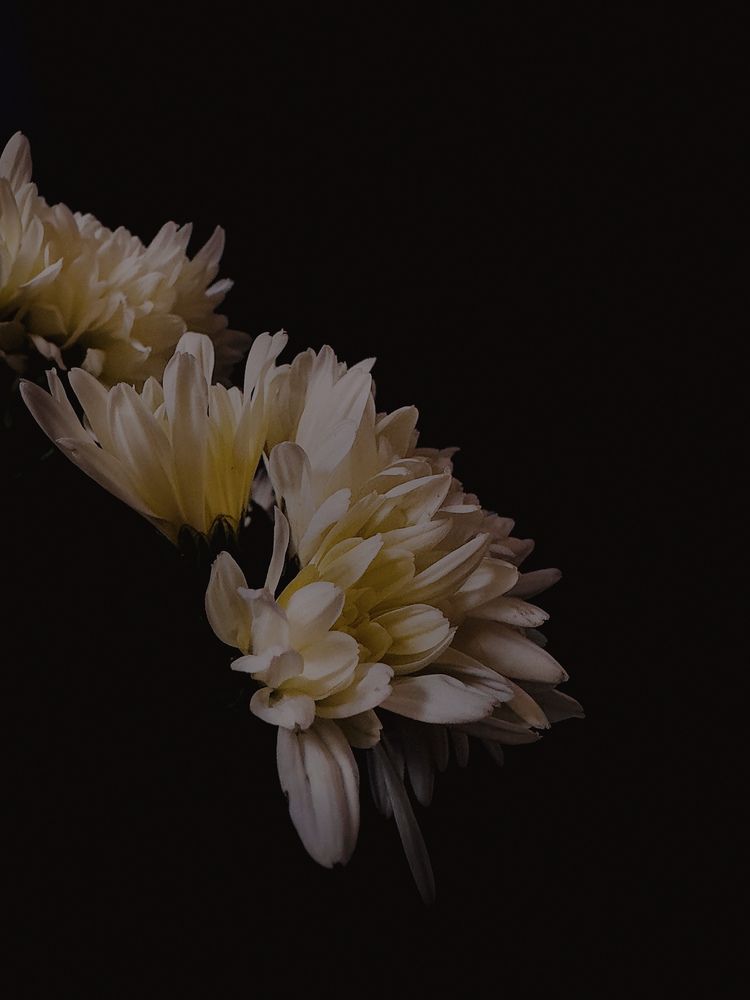 Photograph by Диана Бадеева