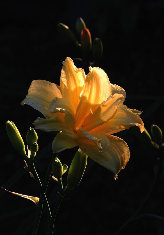 Photograph by Михаил Малец