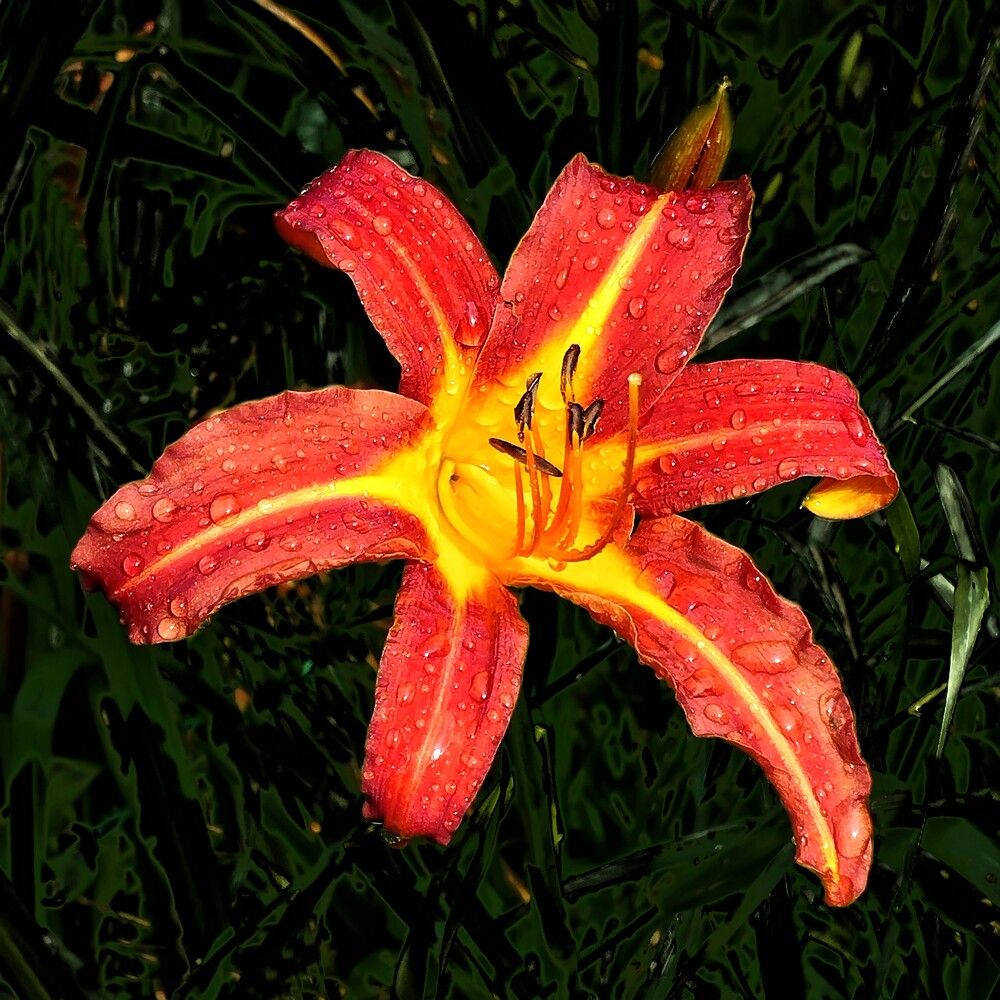 Photograph by Михаил Малец