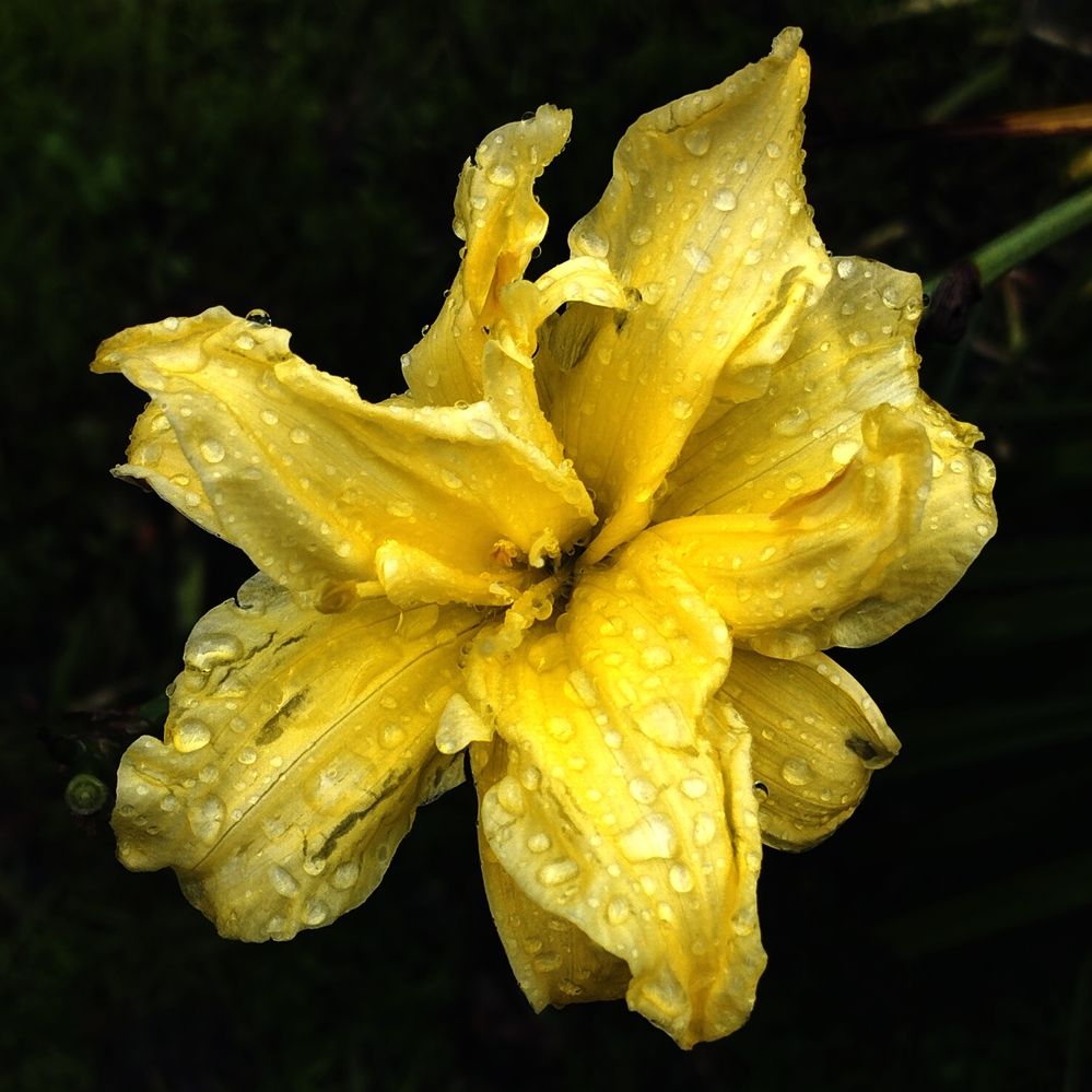 Photograph by Михаил Малец