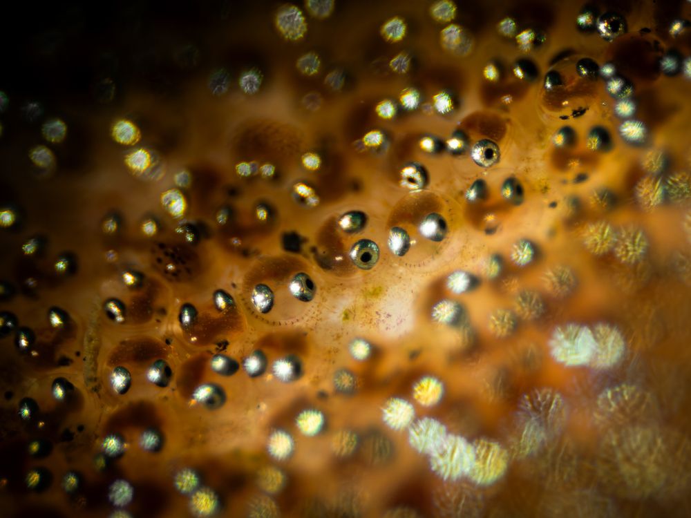 Photograph by Serdar AVCI