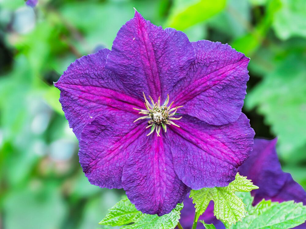 Photograph by Борис Полтавец