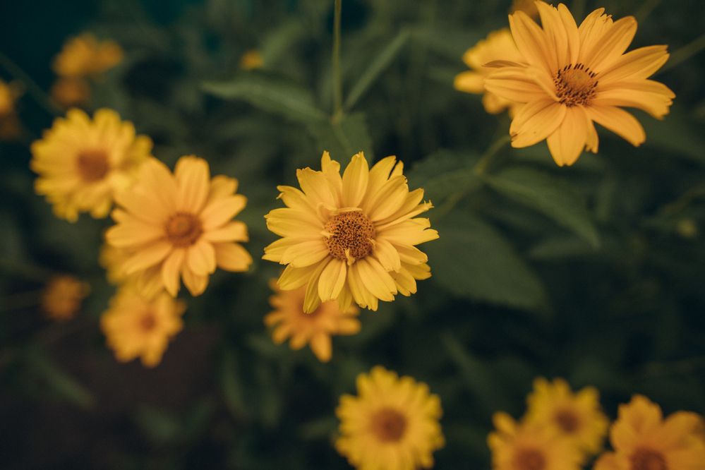 Photograph by Елена Копылова