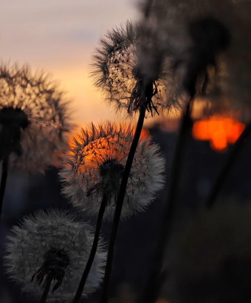 Photograph by Олеся Зеленщикова