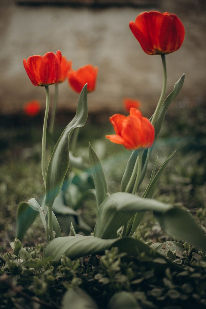 Photograph by Елена Копылова