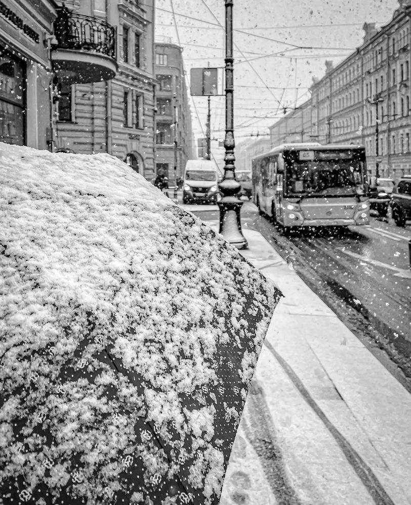 Photograph by Nikolai Osokin