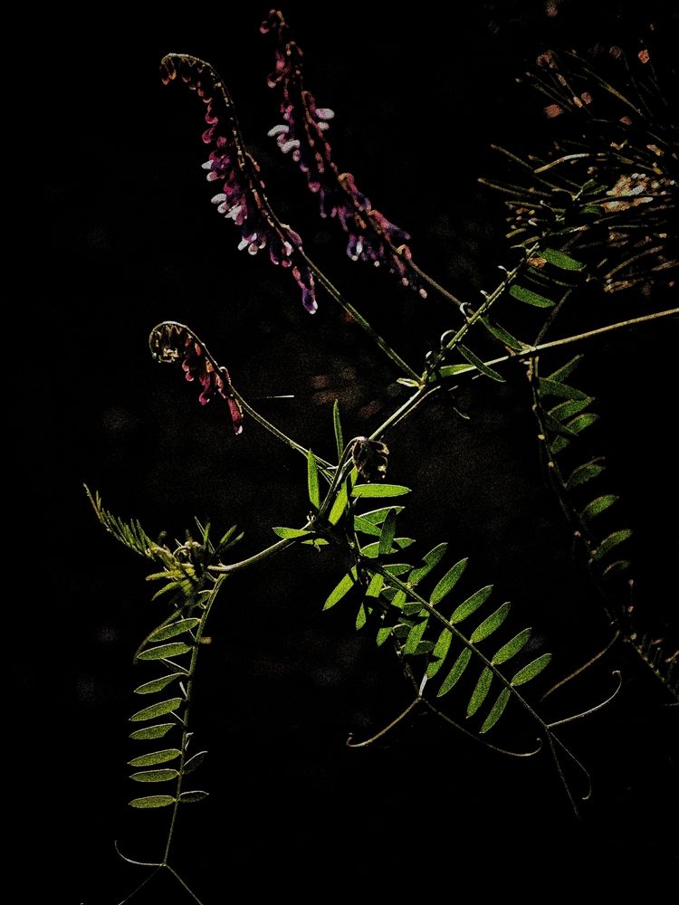 Photograph by Олеся Зеленщикова