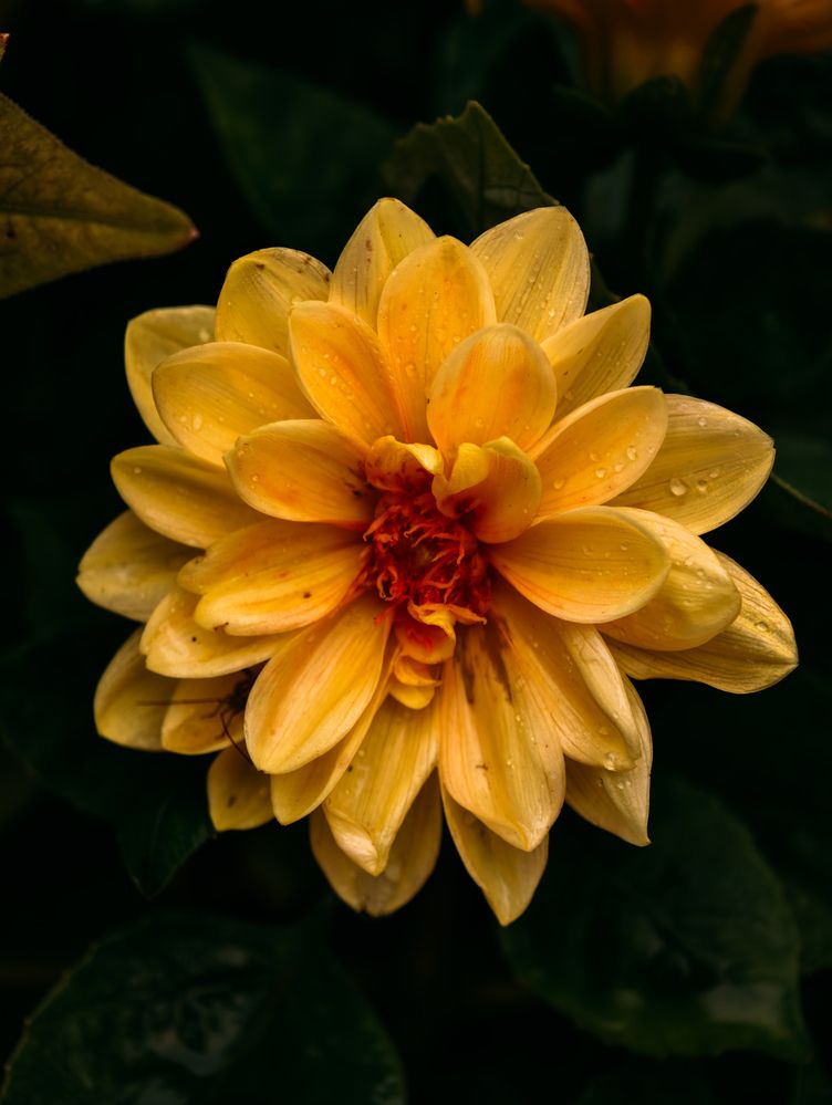 Photograph by Евгений Порсов