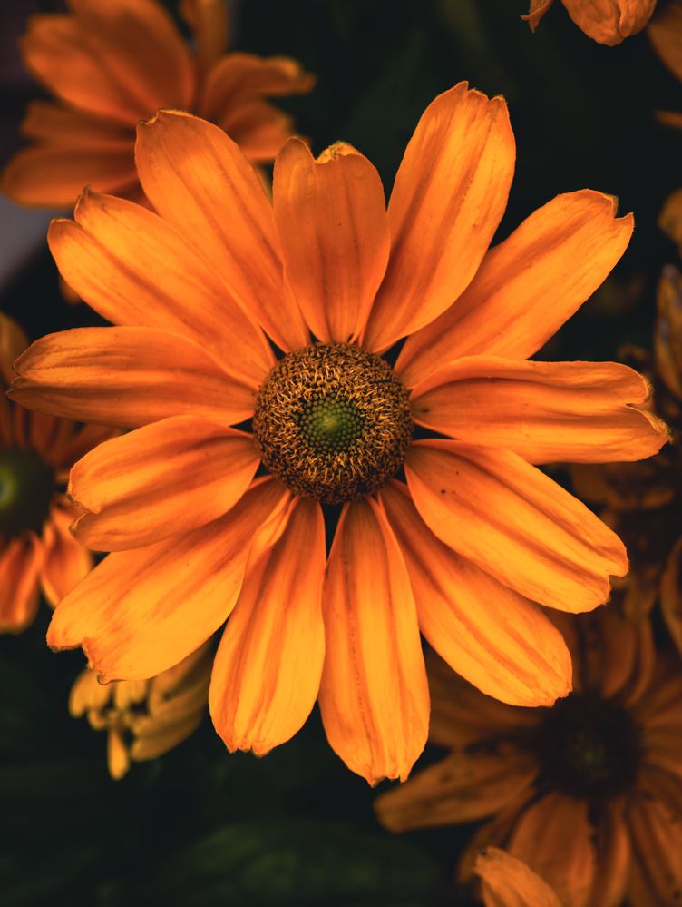 Photograph by Евгений Порсов