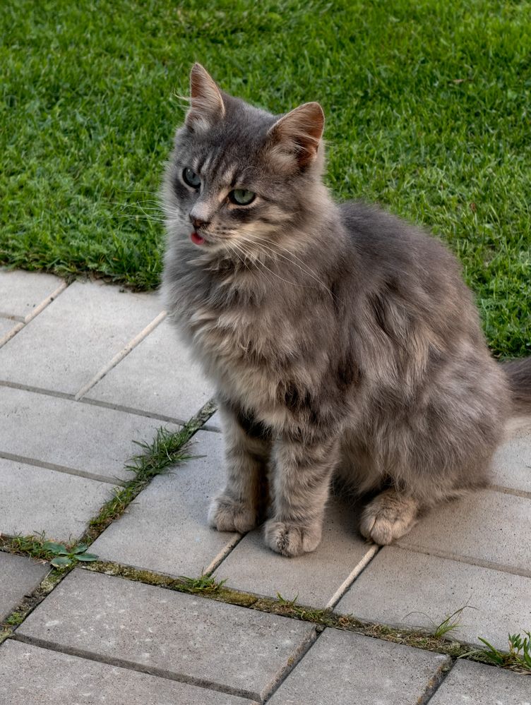 Photograph by Евгений Порсов