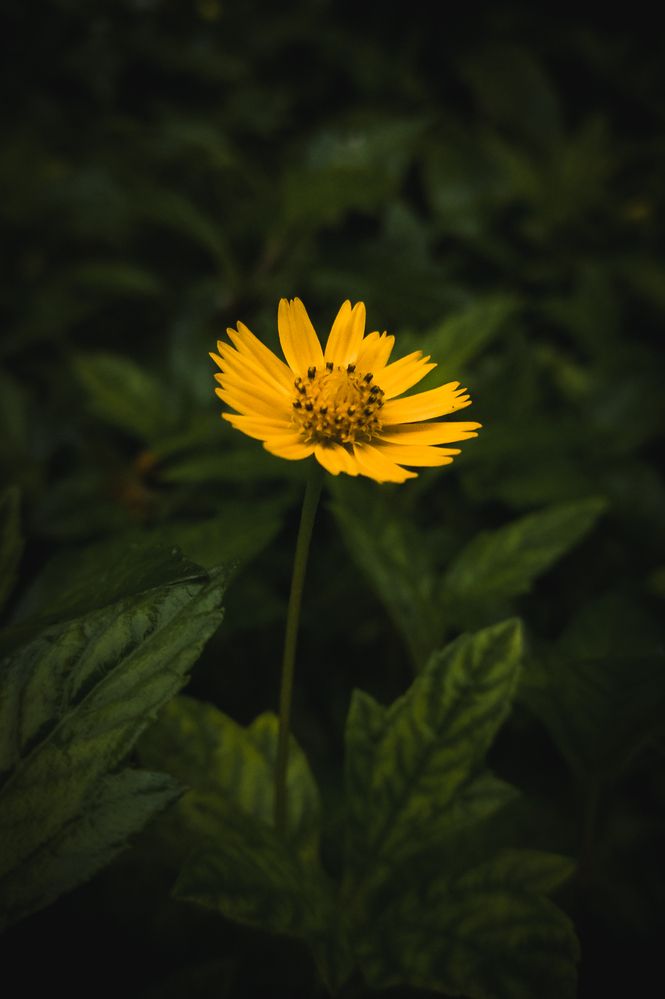 Photograph by Dhruv Mistry