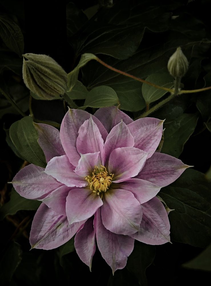 Photograph by Олеся Зеленщикова