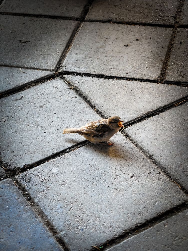 Photograph by Евгений Порсов