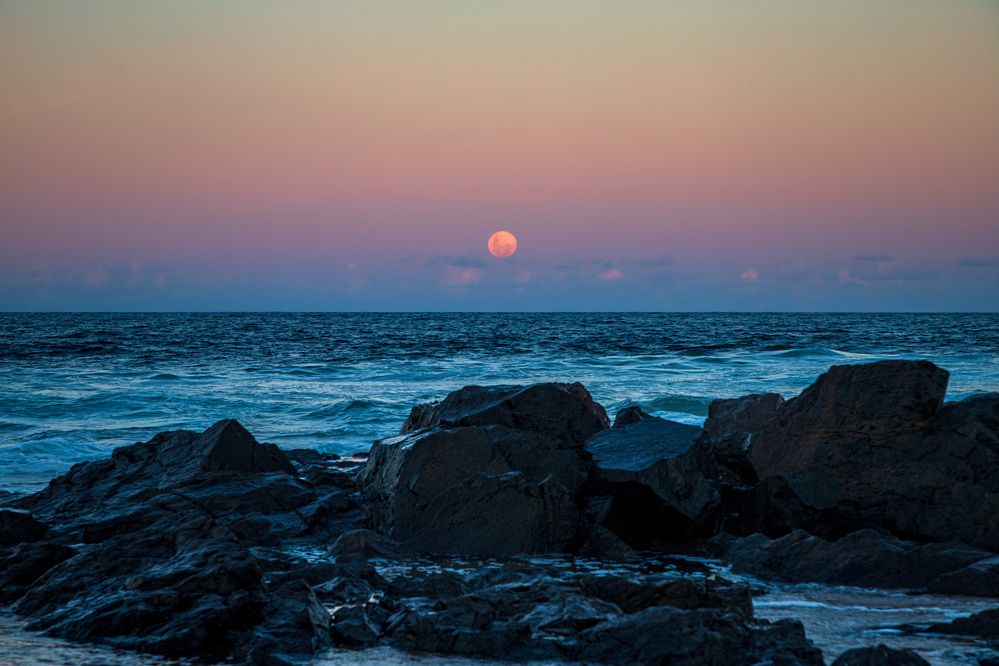 Фотография автора Marcelo Vaz