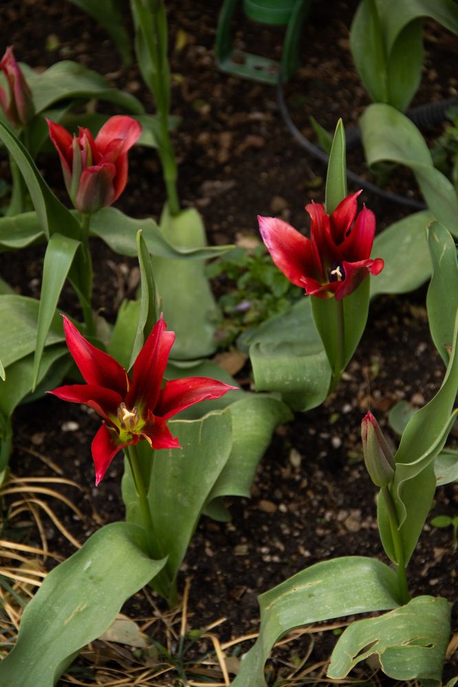 Photograph by Ксения Золотарь