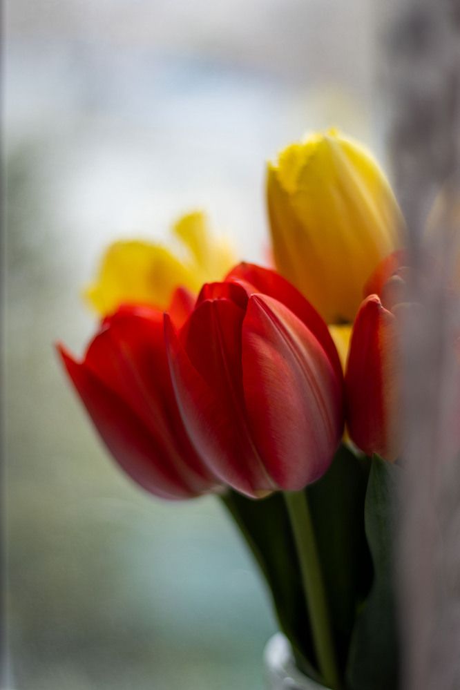 Photograph by Ксения Золотарь