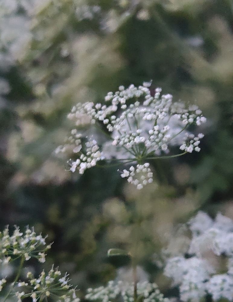 Photograph by Татьяна Гулакова