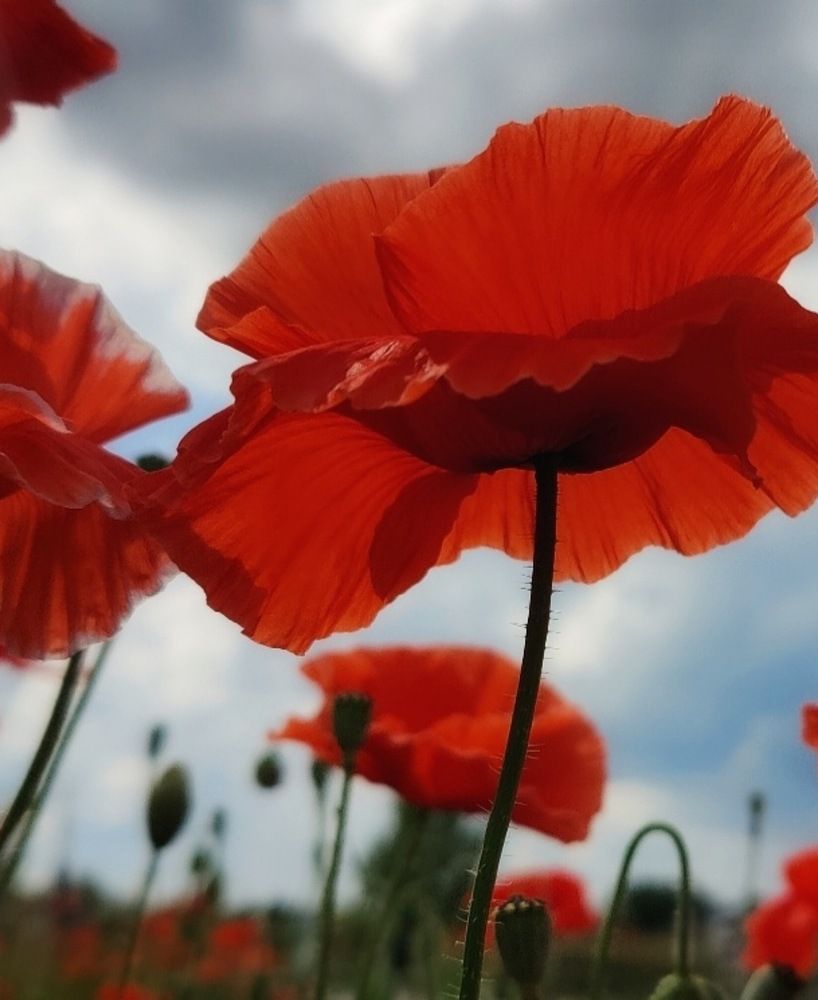 Photograph by Татьяна Гулакова