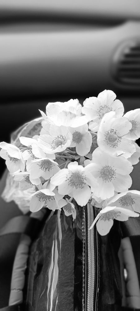 Photograph by Надежда