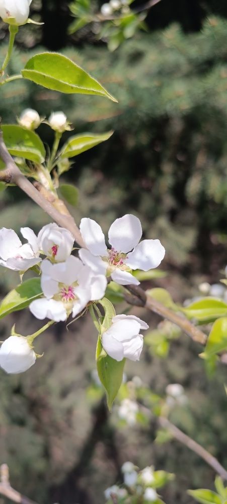 Photograph by Надежда