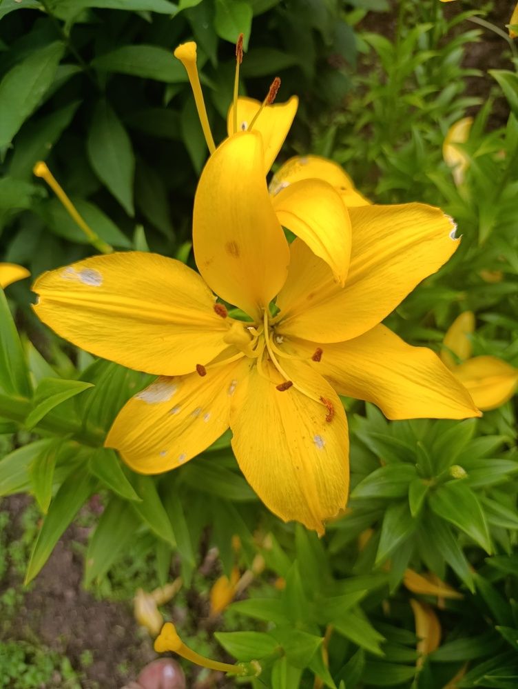 Photograph by Ольга Антохина