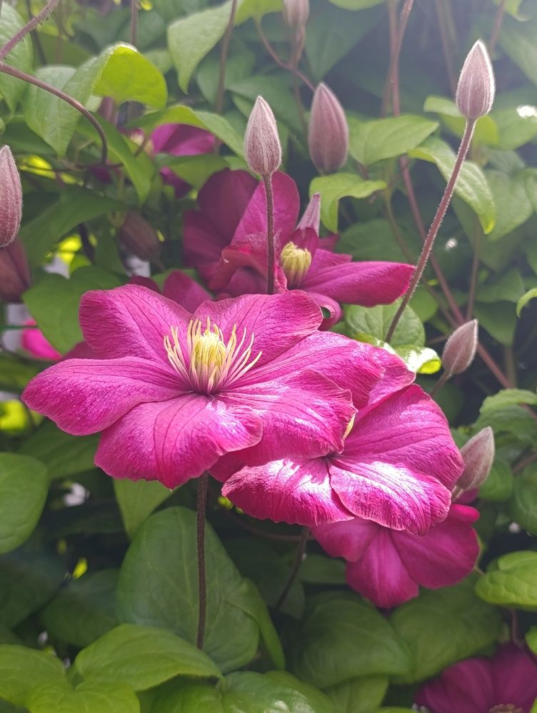 Photograph by Ольга Антохина