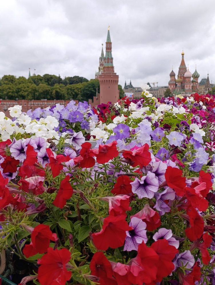 Photograph by Ольга Антохина