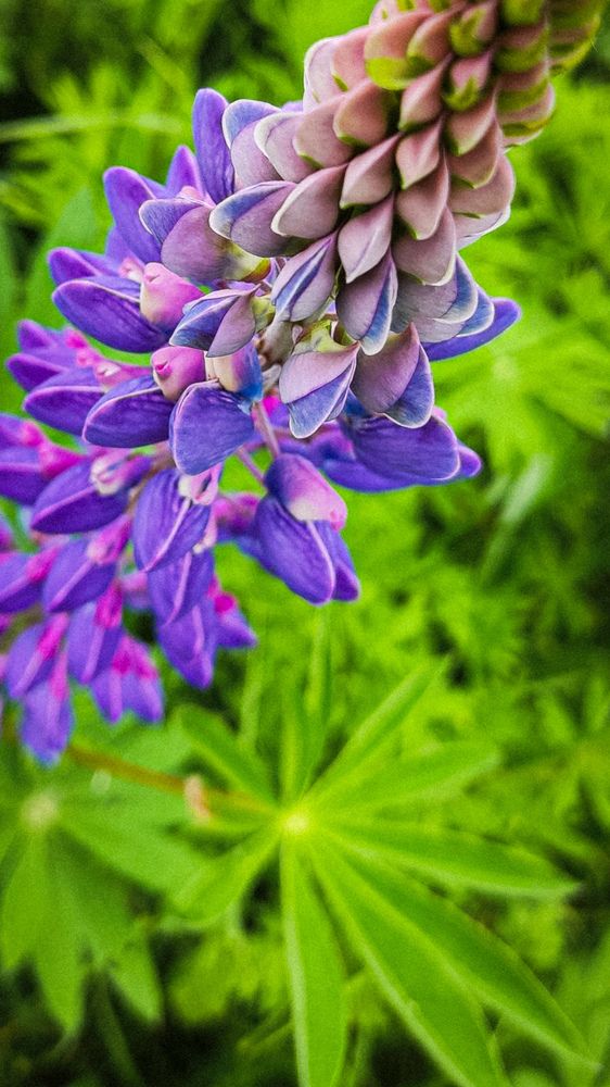 Photograph by Евгения Гродинская