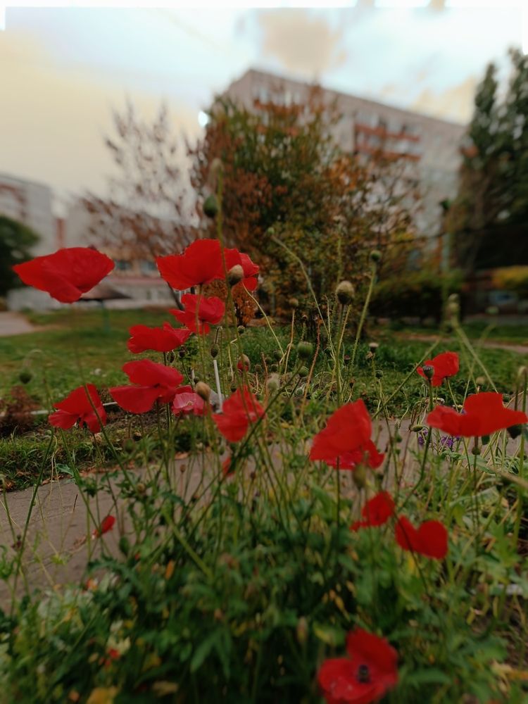 Photograph by Надежда