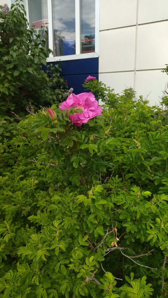 Photograph by Ирина Марченко