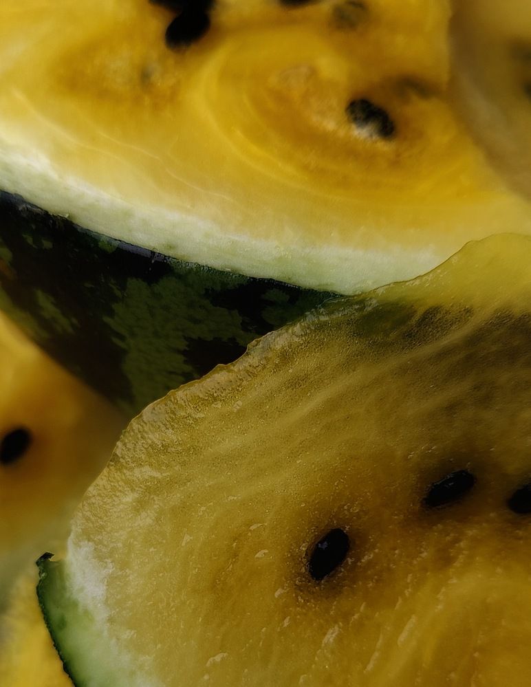 Photograph by Татьяна Гулакова