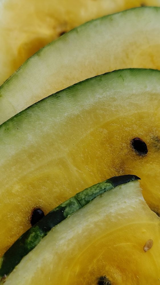 Photograph by Татьяна Гулакова