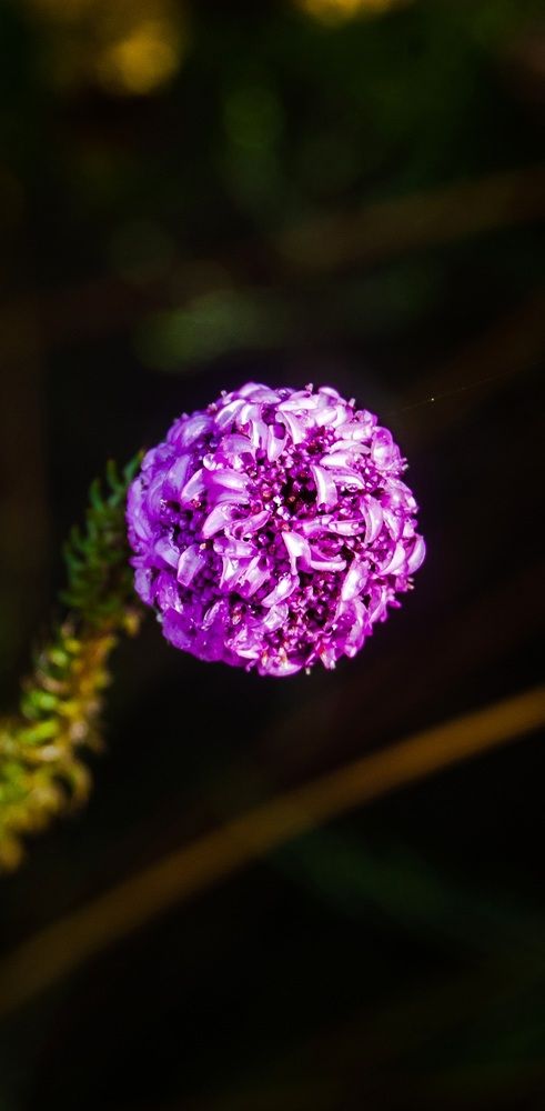 Photograph by Craigan Wilkinson