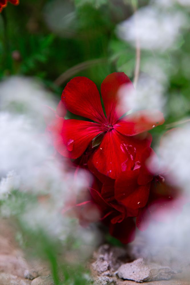 Photograph by Наталья Кузьменко