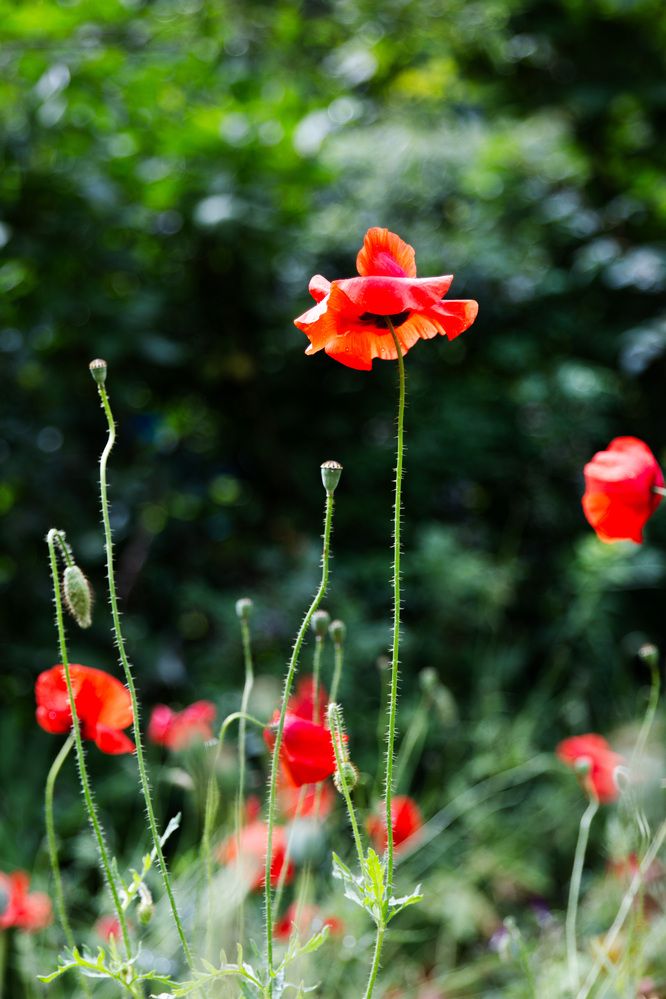 Photograph by Наталья Кузьменко